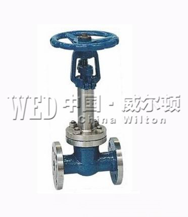 DZ40Y法蘭低溫閘閥